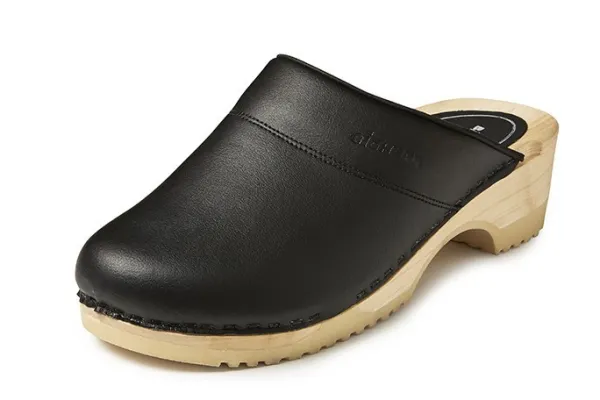 BigHorn Rhone BM0100